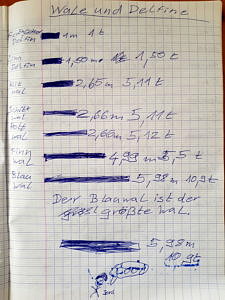 Schülertext