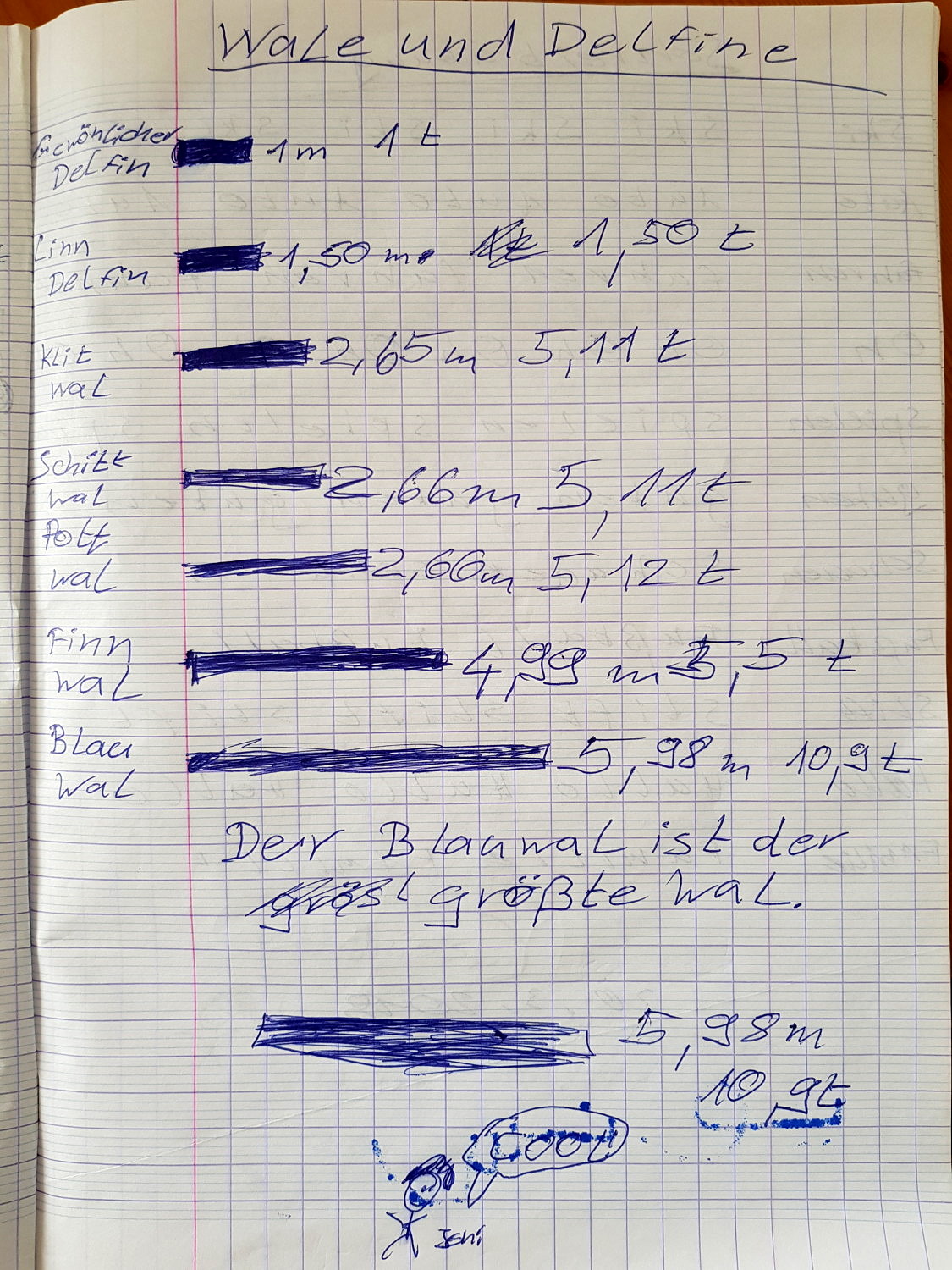 Schülertext